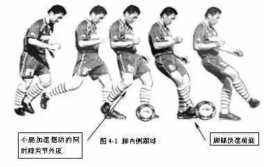 篮球训练营结课总结范文_0